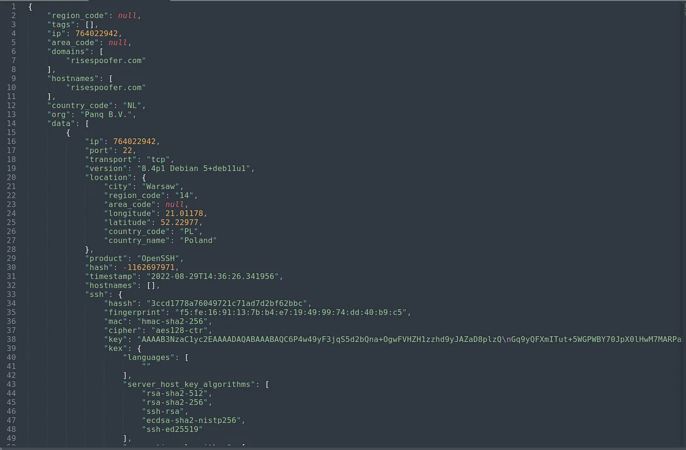 Another Example Shodan Output